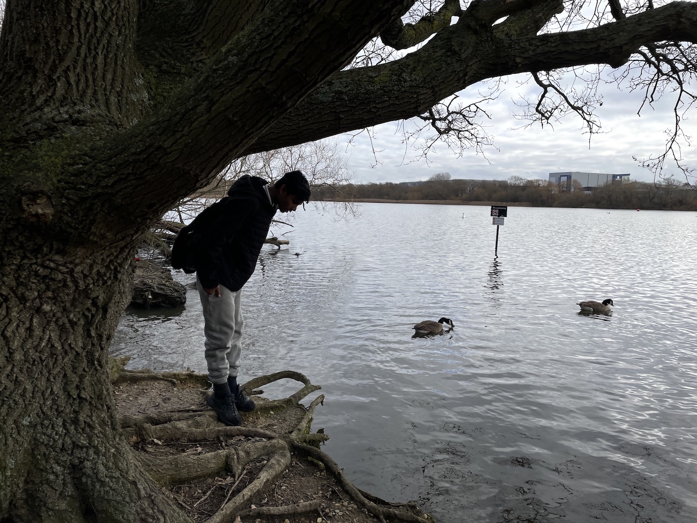 A student stands on the edge of a lake, leaning over and looking down into its depths, with a tree behind them mirroring their movement
